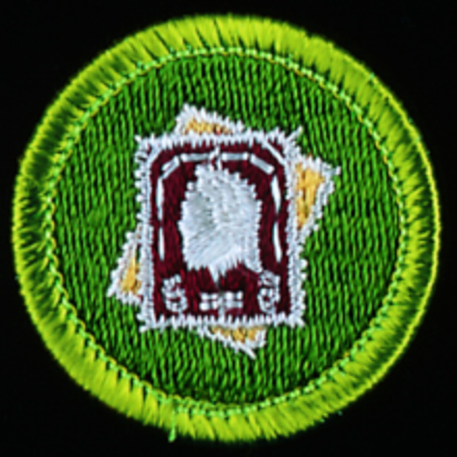 Camp Merit Badge 2020 - Stamp Collecting | Suffolk County Council